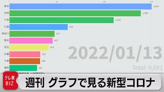 週刊 グラフで見る新型コロナ（2022年1月14日）