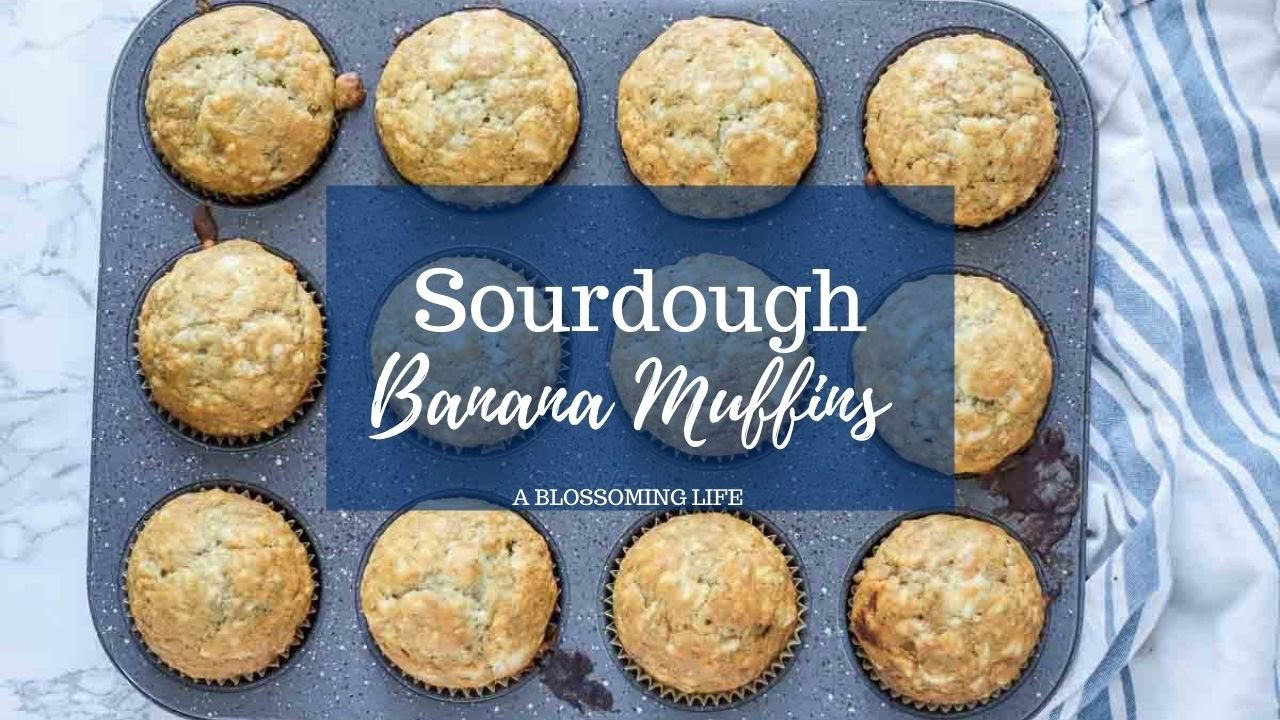 Sourdough Banana Muffins Recipe Long Fermented Or Quick Mix And Bake YouTube