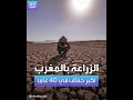 الجفاف يضرب الزراعة في المغرب الجفاف يضرب الزراعة في المغرب