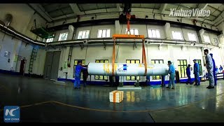 Celebrity China's first privately-developed rocket to be launched later this year Net Worth