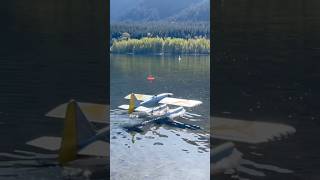#floatplane #seaplane #radiocontrol #rc