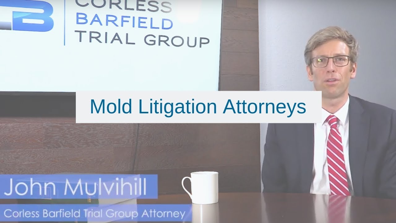 Mold Litigation Attorneys