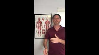 Exercises for Rounded Shoulders at Los Angeles Back and Neck Relief Center in Manhattan Beach