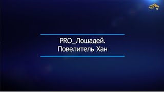 картинка: PRO_Лошадей. Повелитель Хан. 14 февраля 2021 года