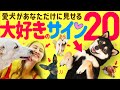 【感動】犬が飼い主に「大好き❤️」と伝えている20の愛情表現