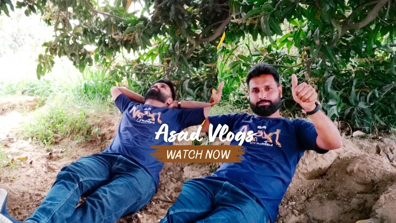 Beauty of Village Life | Lush Green Fields & Nature 🌿🌾