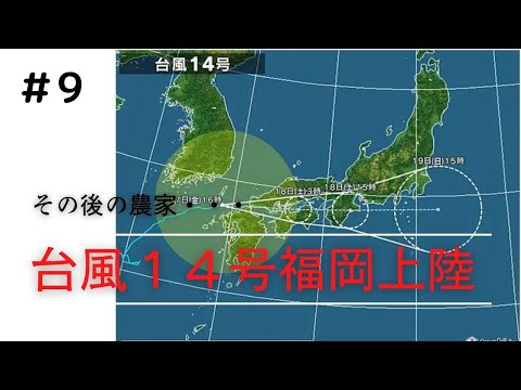 台風１４号福岡上陸　その後の農家はいかに！！！！