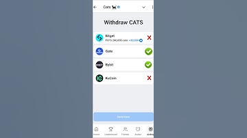 CATS Me Bybit Wallet Connect Kaise Kare #bybit  #cats #binanceexchange