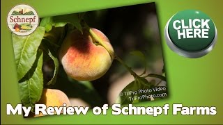 Schnepf Farms Review in Queen Creek AZ | My reviews from Schnepf Farms