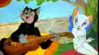 Tom & jerry