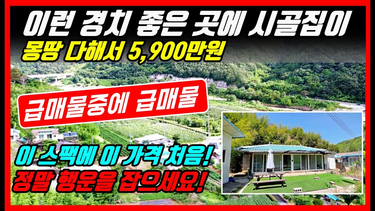 [급급매물] 바로 거주되는 5900만원 시골집 없습니다. #시골주택  #시골집 #시골집급매  #착한부동산