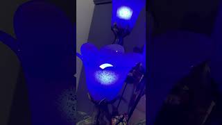 Bak Çöpten Ne Çıktı‼️‼️