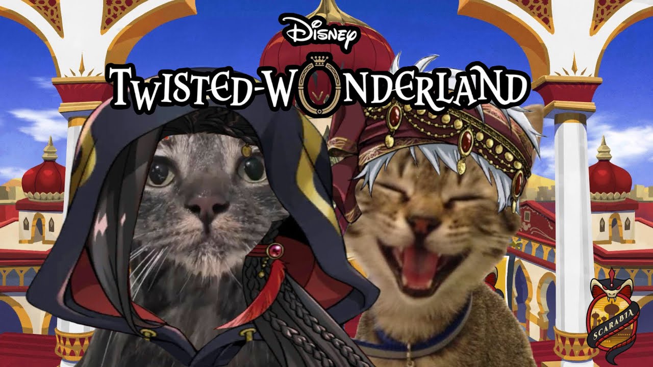 TWISTED WONDERLAND BOOK 4 EXPLAINED BY CATS