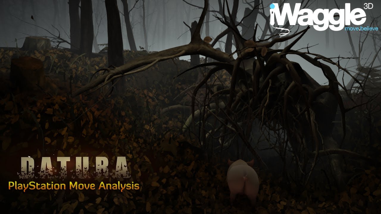 Datura PlayStation Move Analysis w/iWaggle3D