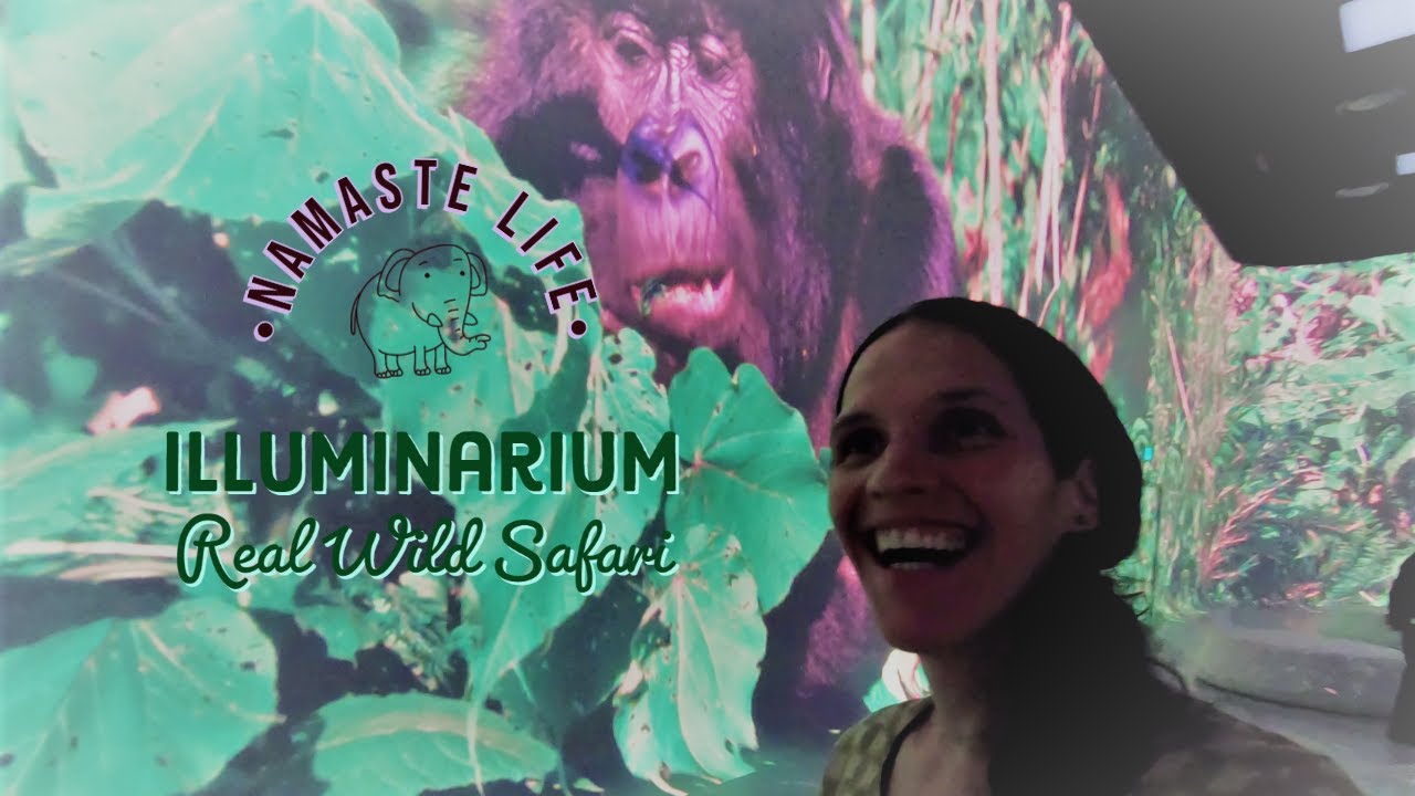 Illuminarium Experiences Wild Safari Area 15 Location In Every illuminarium-experiences-wild-safari-area-15-location-in-every