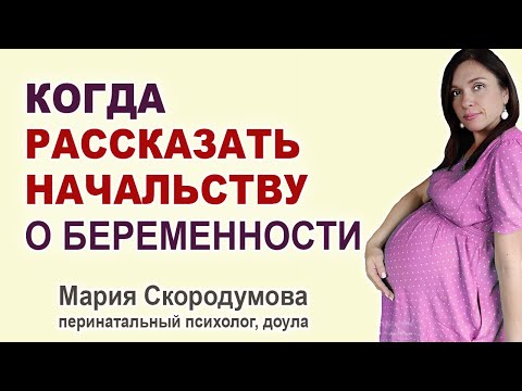 Когда сказать на работе про беременность?