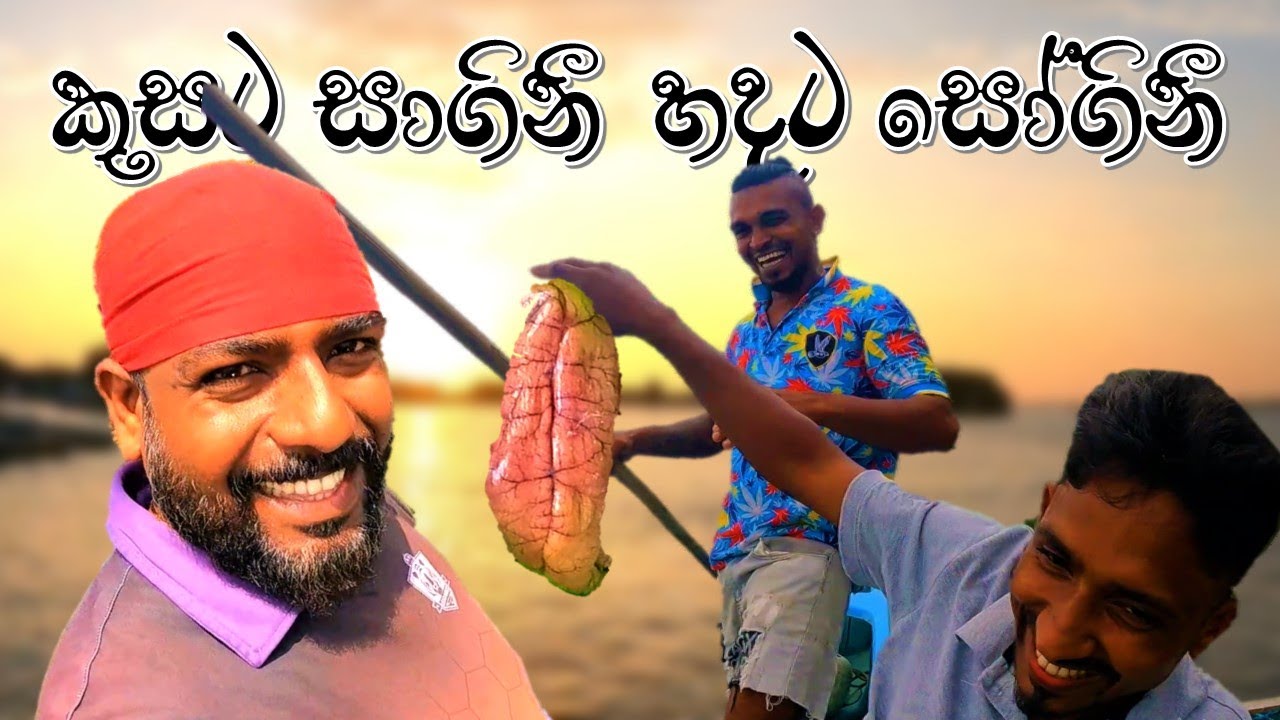 කෑවොත් පිස්සු හැදෙයි @wishwatiyubaya 🐳😲🙏