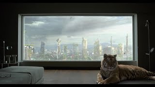 IMAX, une infinité de mondes