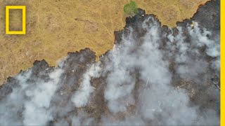 Amazon Fires 'So Much Worse Than Before' | National Geographic