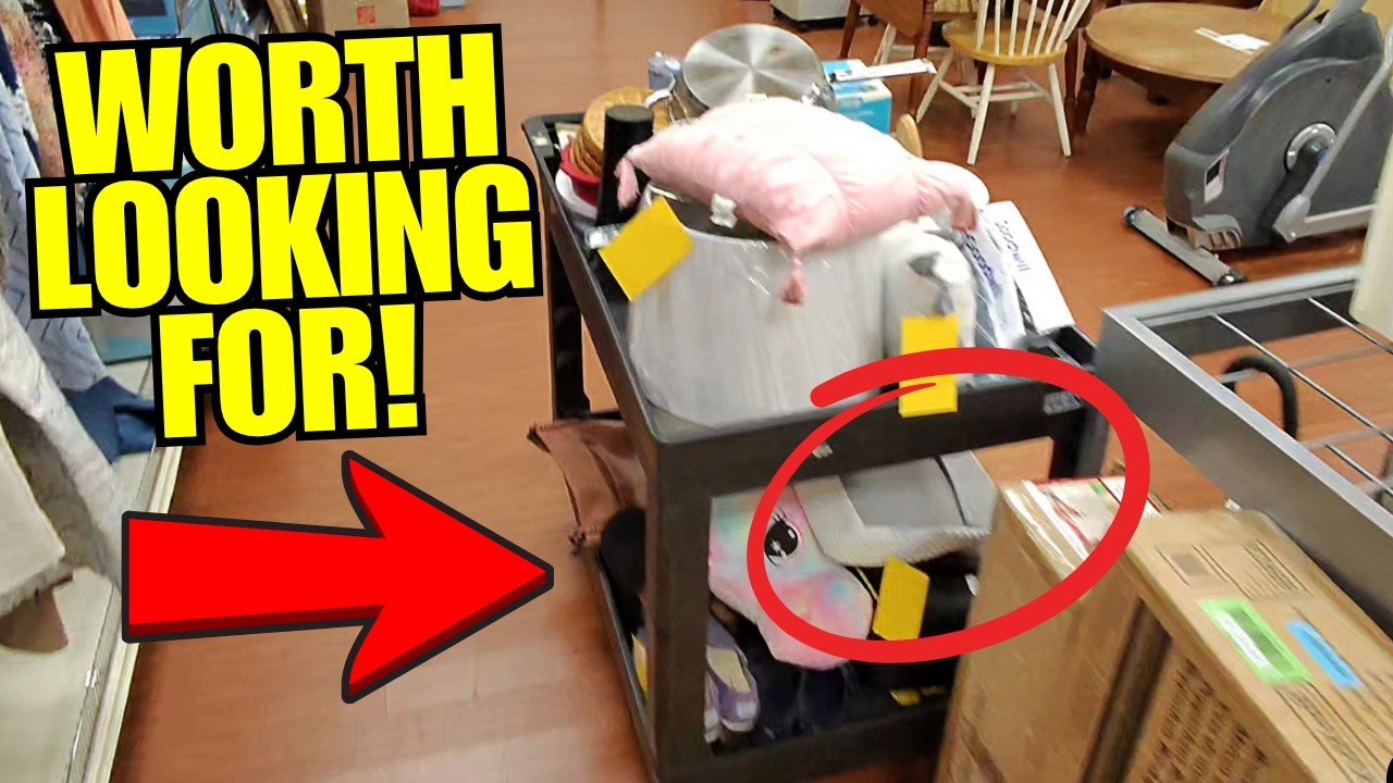 It Pays to Look Under EVERYTHING AT GOODWILL!