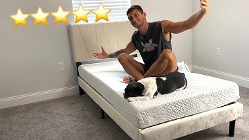 This Molblly Bed Frame Is BEAUTIFUL