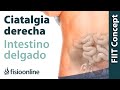 Ciática o ciatalgia derecha y su relación con el intestino delgado