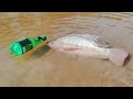 Amazing Boy Catch Fish With Plastic Bottle Fish Trap ! Fish Trap in Bottle Fishing Method (Part-2