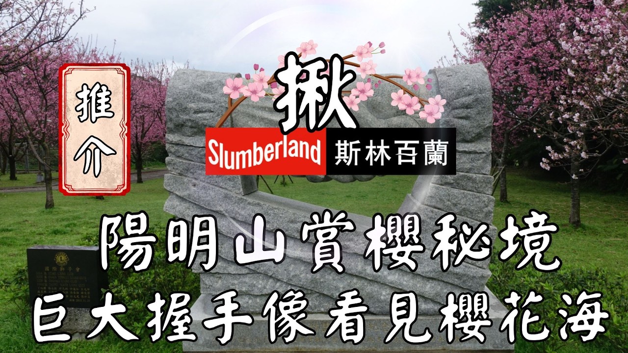 陽明山賞櫻秘境｜ 🌸 巨大握手像間看見櫻花海 #櫻花 #陽明山 #住六公園 #獅子會 #昭和櫻