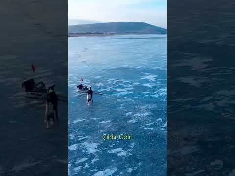 Buz tutan göl