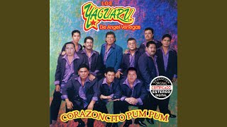 Video thumbnail of "Los Yaguarú - Como Decirte Adios"