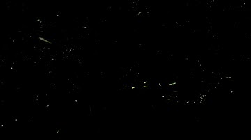 Fireflies with GoPro Star Trails Mode (#4, settings in description)