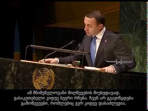 პრემიერ-მინისტრის გამოსვლა გაერო-ს 29-ე სპეციალურ სესიაზე