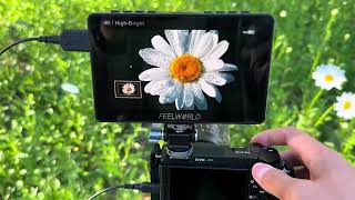 FEELWORLD F5PROX 1600nit 4K Monitor Scene based keywords mp4 #f5prox #cameramonitor #feelworld