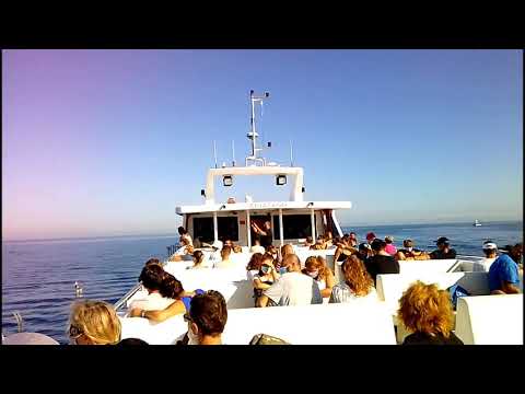 Videó: Hajókirándulás: tengeri útra indulás