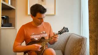 Eric Davis playing the Girl I Left Behind  on the Karasik Loar #71839