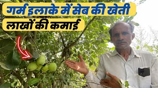 गर्म इलाकों में होने वाला सेब की खेती 🍎50kg उत्पादन Apple Farming in india Seb ki kheti