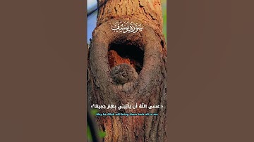 فصبرا جمل 🕊️| سورة يوسف بصوت مؤثر 4K