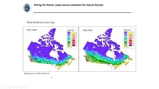 Pining for home: seed source selection for future forests | FGrOW Webinar Series #16