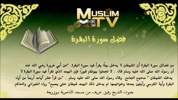 ابداع من الشيخ رفيق خريف في صلاة العشاء بمسجد الناصرية ببوزريعة - ما تيسر من سورة البقرة 2016