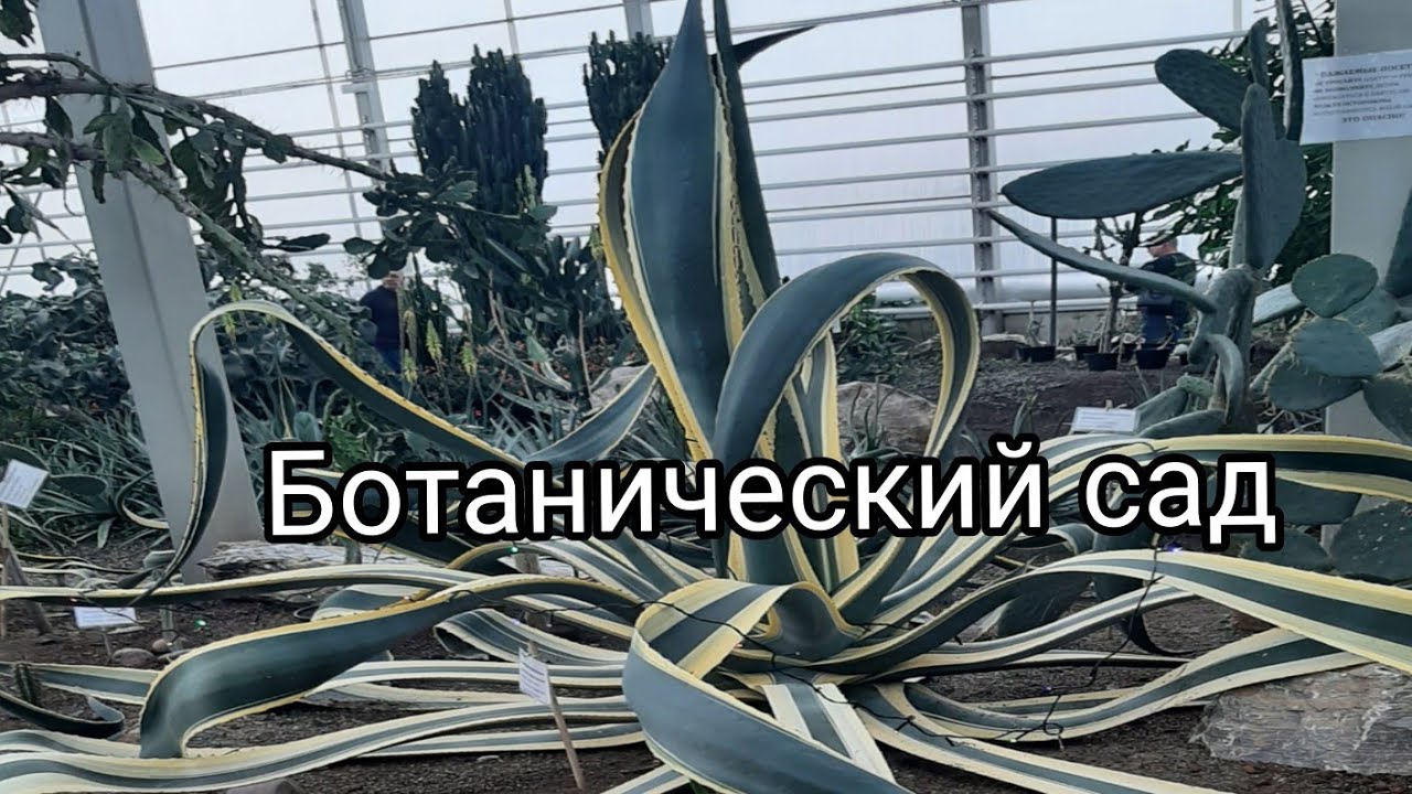Прогулка в ботаническом саду / A walk in the botanical garden