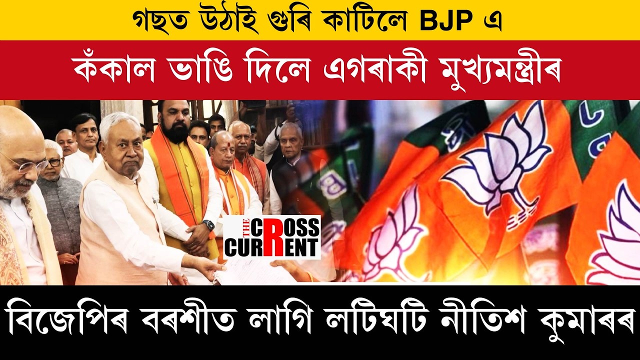 Партия БДП перерубила корни дерева.