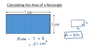 Areas and Rectangles