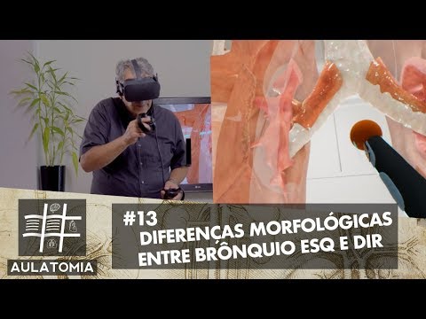 Vídeo: Diferença Entre Brônquio Direito E Esquerdo