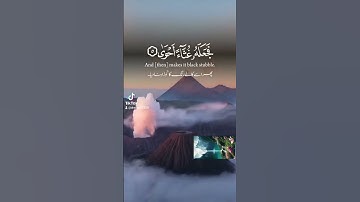 #قرآن #قران_كريم #قران #تلاوة_خاشعة #تلاوات #تلاوة #اسمع_بقلبك ❤❤❤