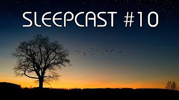 Sleepcast#10 - sleep with ambient sounds in less than 50 min