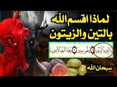 لماذا أقسم الله بالتين والزيتون سر مذهل يكشفه العلم والقرآن اسئله دينيه صعبه جدا واجوبتها