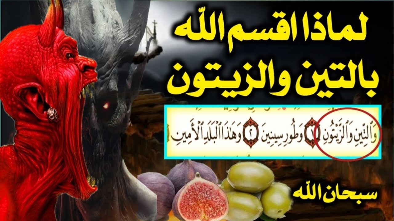لماذا أقسم الله بالتين والزيتون؟ سر مذهل يكشفه العلم والقرآن! اسئله دينيه صعبه جدا واجوبتها