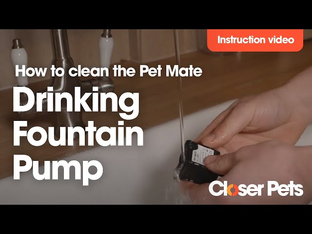 Instruction Video: How to clean your pet fountain pump 