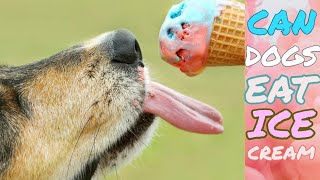 Doberman Pinscher TREATS Dog Friendly Ice Cream Frosty Paws and Protection Instincts