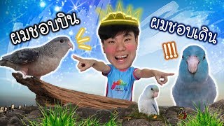 3 จิ๋วแต่แจ๋ว!! บินอิสระต่อไม่รอแล้วนะ | My PET EP.18